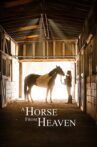 A Horse from Heaven Movie Streaming Online