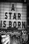 A Star Is Born World Premiere Movie Streaming Online