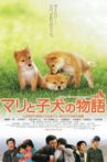 A Tale of Mari and Three Puppies Movie Streaming Online