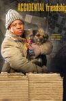 Accidental Friendship Movie Streaming Online