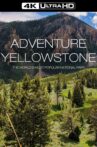 Adventure Yellowstone Movie Streaming Online
