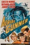 Aerial Gunner Movie Streaming Online