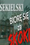 Afera SKOKów Movie Streaming Online