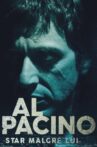 Al Pacino - Star wider Willen Movie Streaming Online