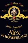 Alex in Wonderland Movie Streaming Online