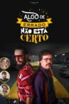 Algo de Errado Não Está Certo Movie Streaming Online