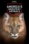America's Greatest Animals Movie Streaming Online