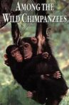 Among the Wild Chimpanzees Movie Streaming Online