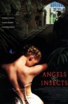 Angels and Insects Movie Streaming Online
