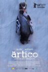 Arctic Movie Streaming Online