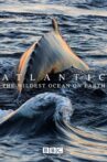 Atlantic: The Wildest Ocean on Earth Movie Streaming Online