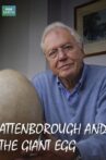 Attenborough and the Giant Egg Movie Streaming Online