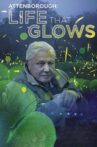 Attenborough's Life That Glows Movie Streaming Online