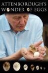 Attenborough's Wonder of Eggs Movie Streaming Online