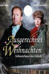 Ausgerechnet Weihnachten Movie Streaming Online