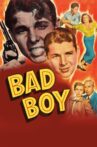 Bad Boy Movie Streaming Online