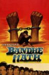 Bandhe Haath Movie Streaming Online