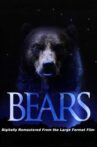 Bears Movie Streaming Online