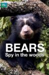 Bears: Spy in the Woods Movie Streaming Online