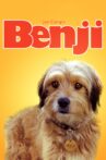 Benji Movie Streaming Online