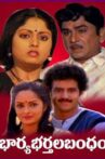 Bharyabhartala Bandham Movie Streaming Online