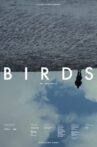 Birds (Or How to Be One) Movie Streaming Online