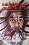 Birmingham Ornament 2 Movie Streaming Online