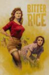 Bitter Rice Movie Streaming Online