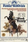 Black Beauty Movie Streaming Online