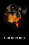 Black Beauty Breed Movie Streaming Online