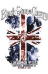 Black Stone Cherry : Thank You - Livin' Live Movie Streaming Online