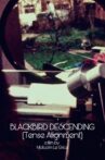 Blackbird Descending Movie Streaming Online
