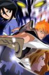 Bleach: Memories in the Rain Movie Streaming Online