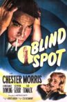 Blind Spot Movie Streaming Online
