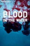 Blood in the Water Movie Streaming Online
