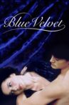 Blue Velvet Movie Streaming Online