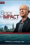 Brace for Impact: The Chesley B. Sullenberger Story Movie Streaming Online