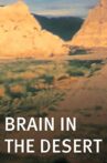 Brain in the Desert Movie Streaming Online