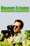 Bright Leaves Movie Streaming Online