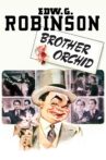 Brother Orchid Movie Streaming Online