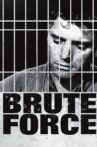 Brute Force Movie Streaming Online