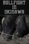 Bullfight in Okinawa Movie Streaming Online