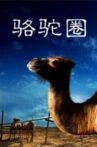 Camel Collar Movie Streaming Online