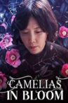 Camellias in Bloom Movie Streaming Online