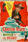 Canyon River Movie Streaming Online