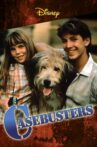 Casebusters Movie Streaming Online