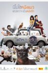Cat A Wabb Movie Streaming Online