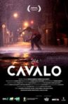 Cavalo Movie Streaming Online
