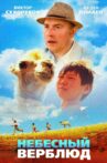 Celestial Camel Movie Streaming Online