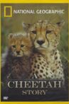 Cheetah Story Movie Streaming Online